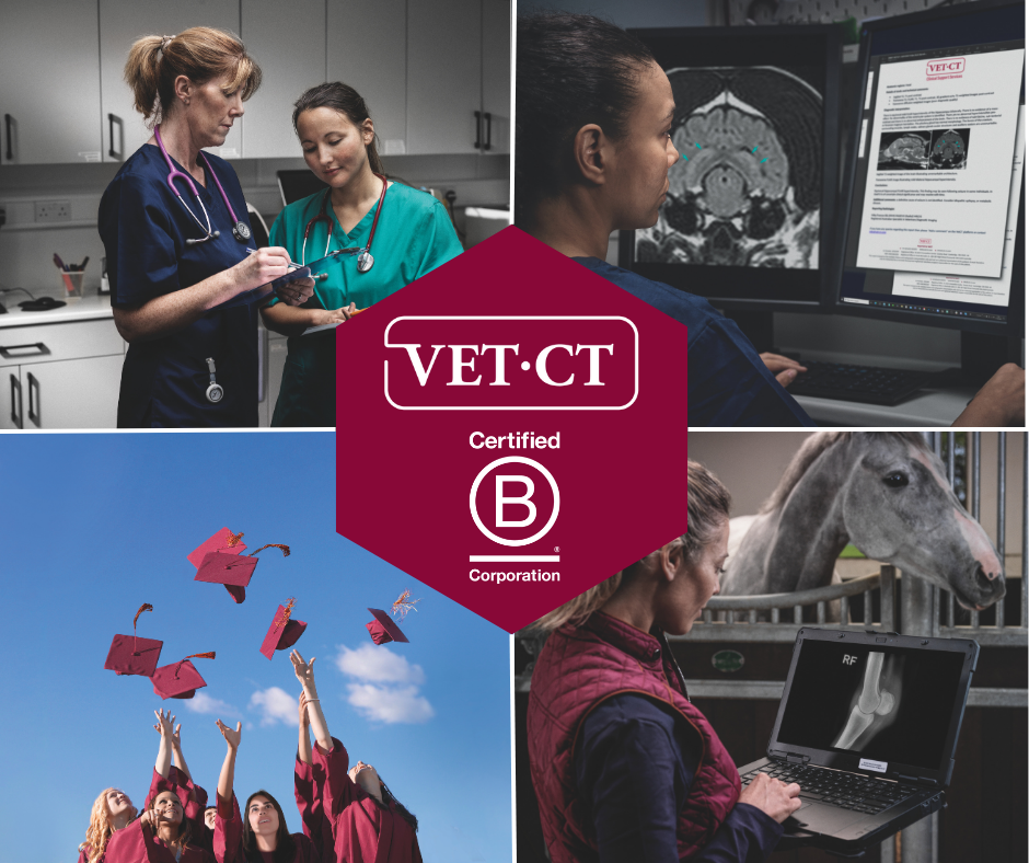 VET.CT Impact Report 2025