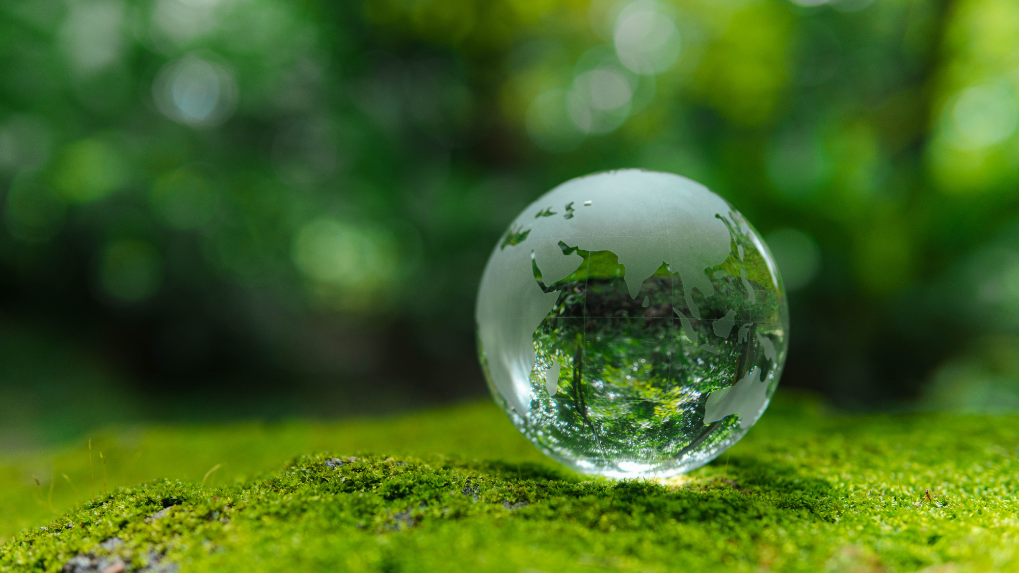 Sustainability Initiatives at VET.CT