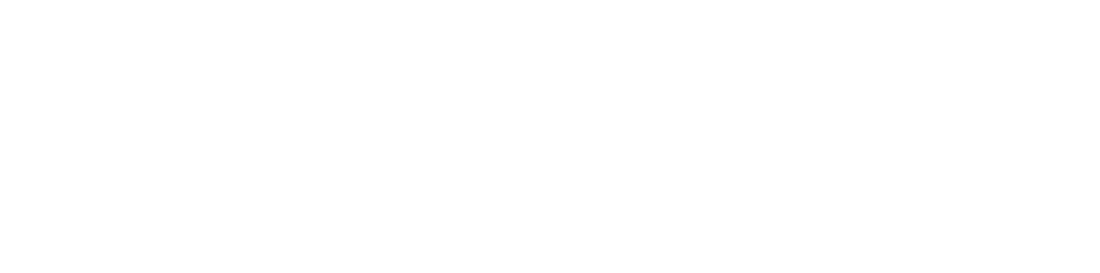 VetCT logo WHITE-1
